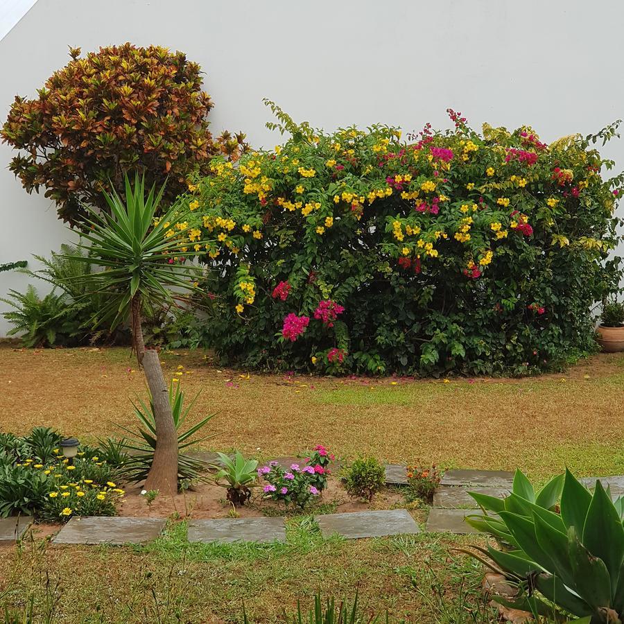 Apartment Idp204- De 2 No Ingleses